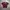 Nike Y2K Sportswear Jersey Pria purple red photo 1