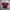 Nike Y2K Sportswear Jersey Pria Purple Red