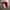 Nike Vintage Sportswear Jersey Pria White Red