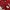 Nike Vintage Sportswear Jersey Pria white red photo 5