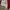 Nike Vintage Sportswear Jersey Pria white red photo 4