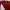 Nike Vintage Sportswear Jersey Pria white red photo 2