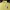 Polo Ralph Lauren Sportswear Polo shirt Pria yellow photo 2