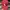 MLB Sportswear Casual Hat Pria red photo 1