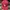 MLB Sportswear Casual Hat Pria Red