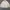 Polo Ralph Lauren Casual Harrington jacket Pria cream photo 1
