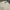 Polo Ralph Lauren Casual Harrington Jacket Pria Cream