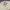 Polo Ralph Lauren Casual Harrington jacket Pria cream photo 3