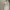 Casual Harrington jacket Pria white photo 3