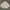 Casual Harrington jacket Pria white photo 1