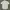 Burberry Luxury Casual Casual shirt Pria multicolor photo 7