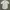 Burberry Luxury Casual Casual shirt Pria multicolor photo 1