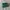 Goyard Luxury Wallet Wanita green photo 1