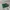 Goyard Luxury Wallet Wanita green photo 2