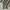 Streetwear Y2K Casual pants Pria gray photo 1