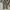 Streetwear Y2K Casual Pants Pria Gray