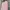 Casual Casual trouser Wanita pink photo 2