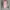 Casual Casual trouser Wanita pink photo 1