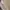 ZARA Biker Cosplay Bomber jacket Pria gray photo 4