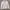 ZARA Biker Cosplay Bomber Jacket Pria Gray