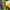 New Era Sportswear Casual Bomber jacket Pria blue yellow photo 2