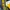 New Era Sportswear Casual Bomber Jacket Pria Blue Yellow