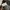 Dickies Casual Casual pants Pria gray photo 4