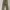 Dickies Casual Casual pants Pria khaki photo 5