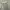 Fear of God ESSENTIALS Sportswear Casual Sweatshirt Pria gray photo 3