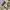 JNCO Streetwear Y2K Jeans Pria tan photo 4