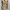JNCO Streetwear Y2K Jeans Pria tan photo 3