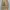 JNCO Streetwear Y2K Jeans Pria tan photo 1