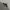 VANS Y2K Casual Vest Pria gray photo 2