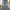 Buckaroo Vintage Y2K Jeans Pria Blue