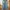 Buckaroo Vintage Y2K Jeans Pria blue photo 2