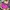 Visval Minimalist Casual Bags & Purse Wanita Pink
