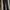 Dickies Sportswear Casual Casual pants Pria black photo 1