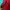 Minimalist Windbreaker Pria red photo 6