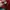 Minimalist Windbreaker Pria red photo 5