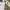 Burberry Streetwear Windbreaker Pria cream photo 5