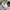 Burberry Streetwear Windbreaker Pria cream photo 1