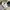 Burberry Streetwear Windbreaker Pria Cream