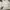 Burberry Streetwear Windbreaker Pria cream photo 3