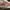 Converse Streetwear Skater Sneakers Pria multicolor photo 3