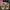Converse Streetwear Skater Sneakers Pria multicolor photo 4