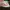 Converse Streetwear Skater Sneakers Pria multicolor photo 2