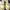 Airwalk Casual Sneakers Pria white tan photo 5