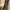Charles and Keith Luxury Minimalist Bags & purse Wanita cream photo 3