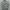 niko and ... Y2K Casual Casual shirt Pria multicolor photo 1