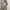 Y2K Skater Formal shirt Pria gray photo 2